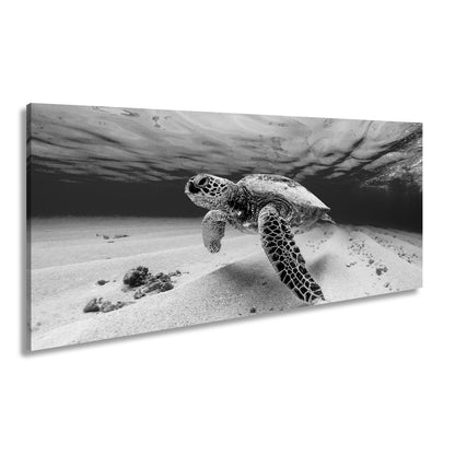 Leinwandbild Majestätische Schildkröte gleitet durch kristallklares Wasser. - deyoli