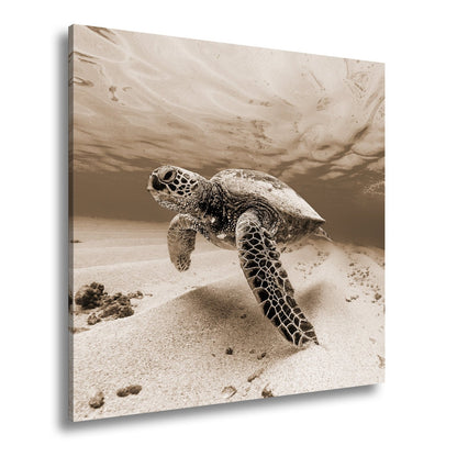 Leinwandbild Majestätische Schildkröte gleitet durch kristallklares Wasser. - deyoli
