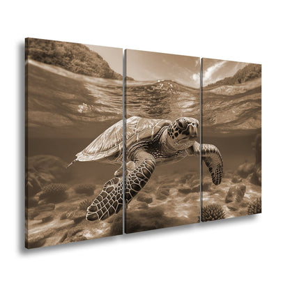 Leinwandbild Majestätische Schildkröte gleitet durch tropische Klarheit. - deyoli