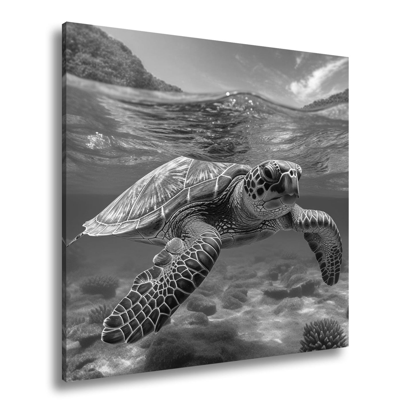 Leinwandbild Majestätische Schildkröte gleitet durch tropische Klarheit. - deyoli