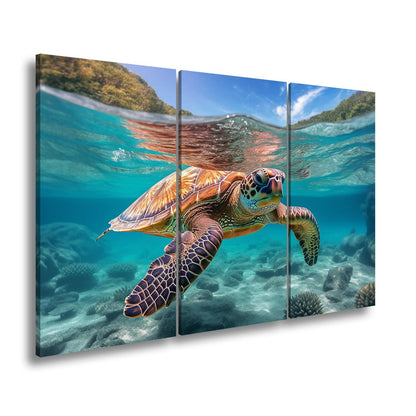 Leinwandbild Majestätische Schildkröte gleitet durch tropische Klarheit. - deyoli