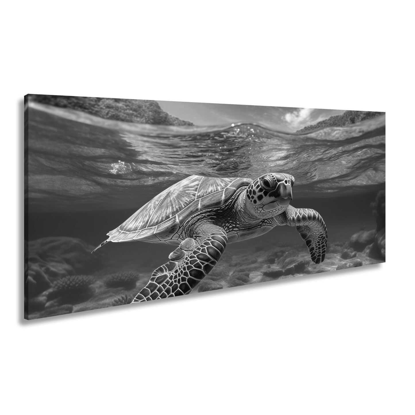 Leinwandbild Majestätische Schildkröte gleitet durch tropische Klarheit. - deyoli