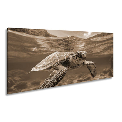 Leinwandbild Majestätische Schildkröte gleitet durch tropische Klarheit. - deyoli
