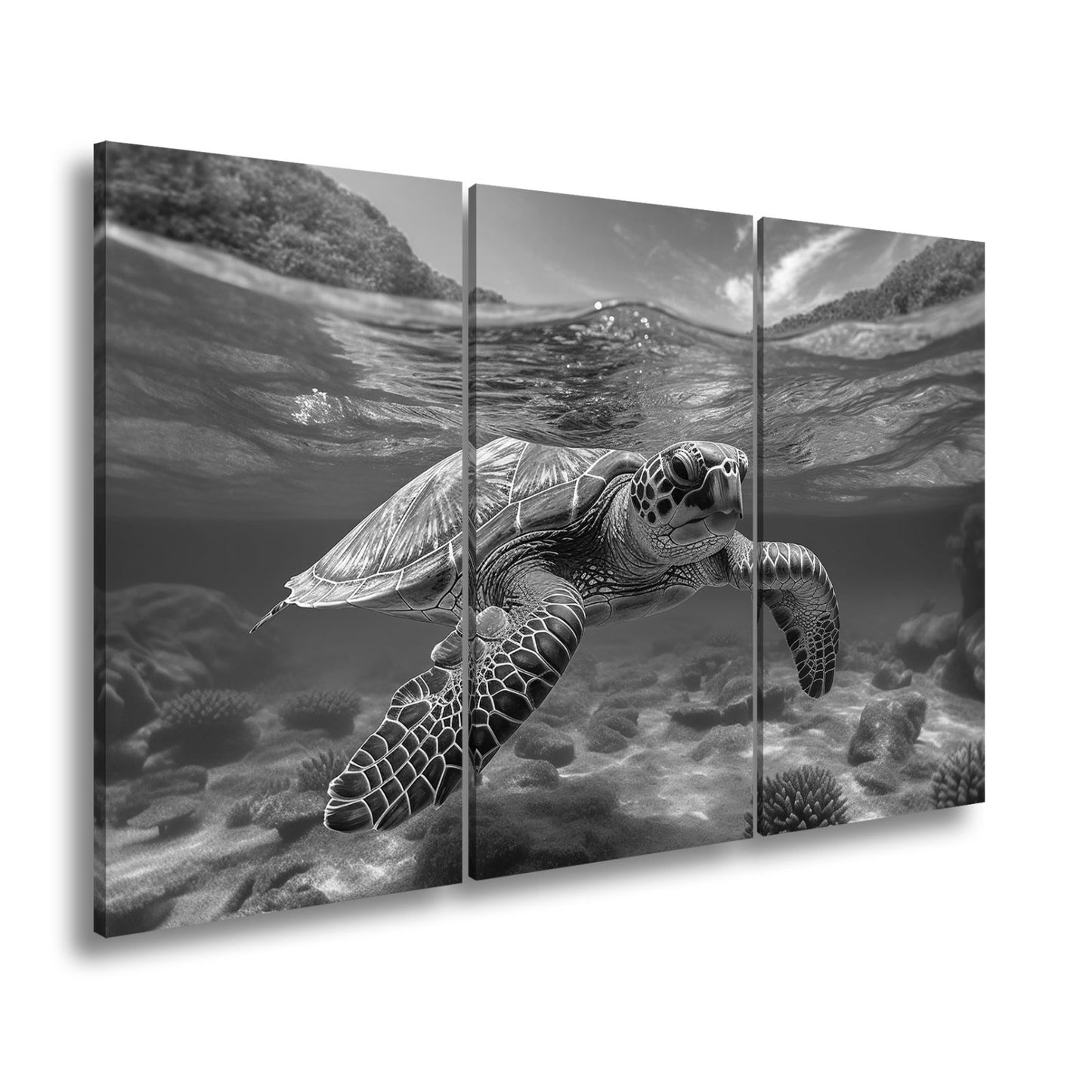 Leinwandbild Majestätische Schildkröte gleitet durch tropische Klarheit. - deyoli