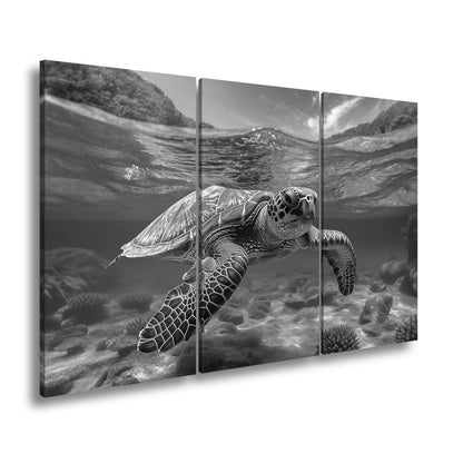 Leinwandbild Majestätische Schildkröte gleitet durch tropische Klarheit. - deyoli