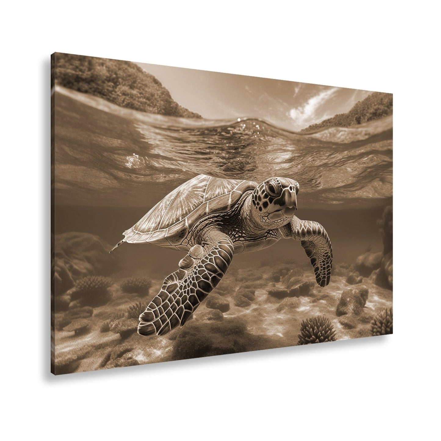 Leinwandbild Majestätische Schildkröte gleitet durch tropische Klarheit. - deyoli