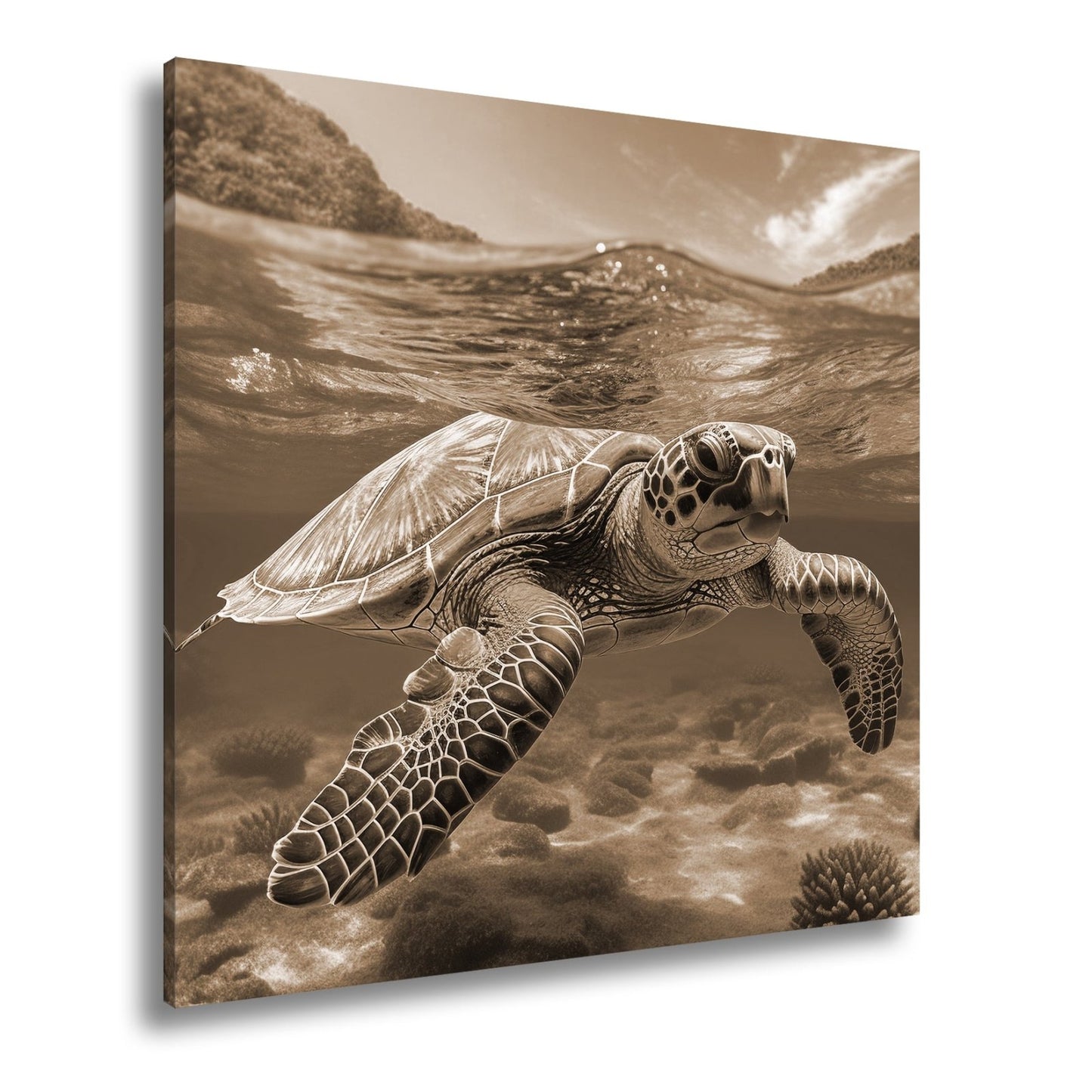 Leinwandbild Majestätische Schildkröte gleitet durch tropische Klarheit. - deyoli