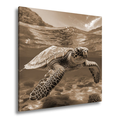 Leinwandbild Majestätische Schildkröte gleitet durch tropische Klarheit. - deyoli