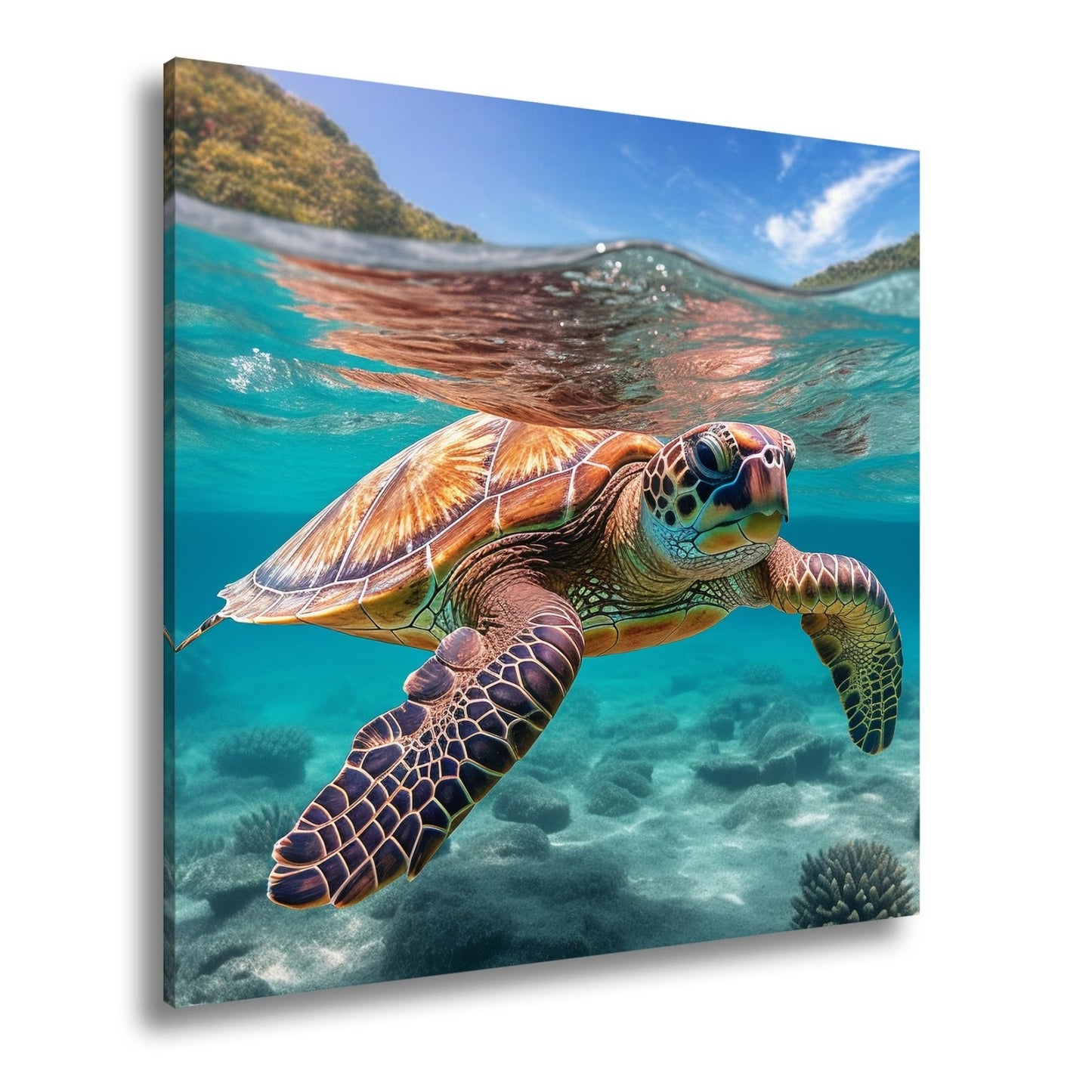 Leinwandbild Majestätische Schildkröte gleitet durch tropische Klarheit. - deyoli