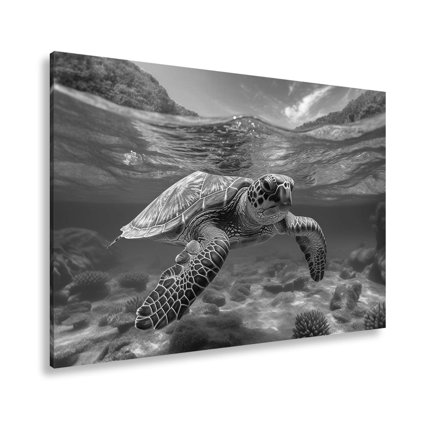 Leinwandbild Majestätische Schildkröte gleitet durch tropische Klarheit. - deyoli