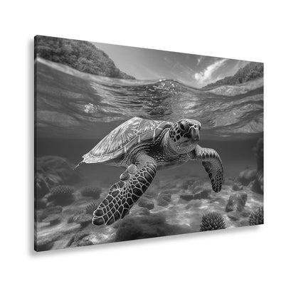 Leinwandbild Majestätische Schildkröte gleitet durch tropische Klarheit. - deyoli