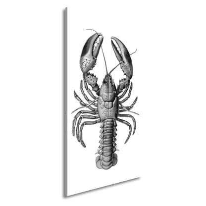 Leinwandbild Majestätischer blauer Hummer in feiner naturgetreuer Illustration - deyoli