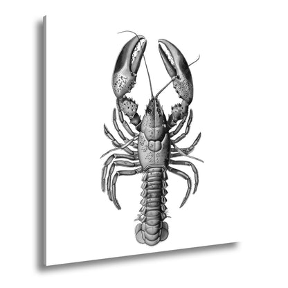 Leinwandbild Majestätischer blauer Hummer in feiner naturgetreuer Illustration - deyoli