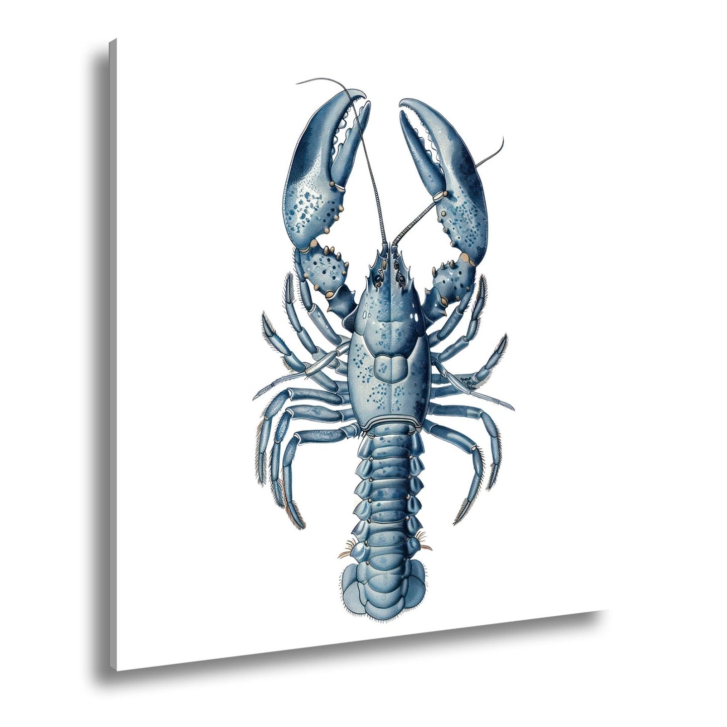 Leinwandbild Majestätischer blauer Hummer in feiner naturgetreuer Illustration - deyoli