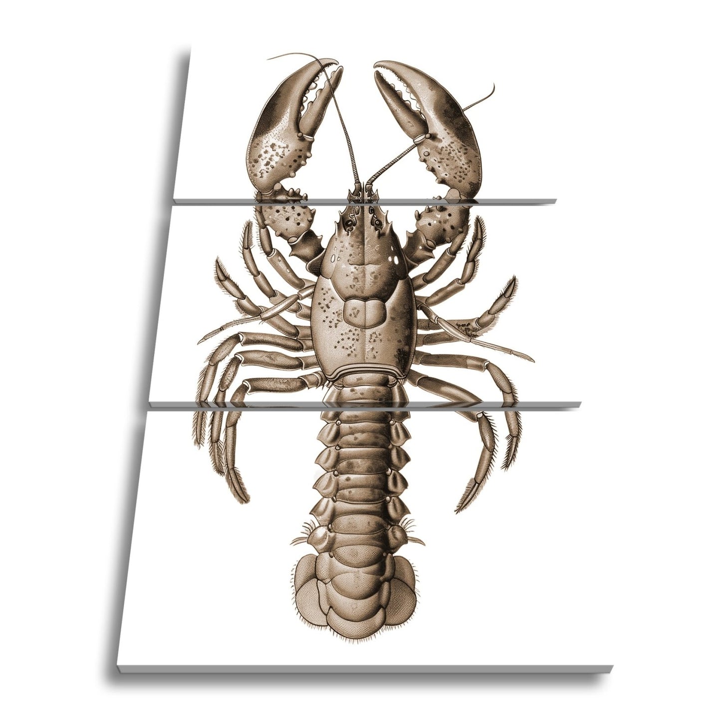 Leinwandbild Majestätischer blauer Hummer in feiner naturgetreuer Illustration - deyoli