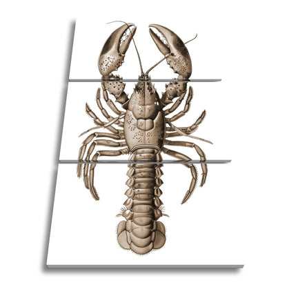 Leinwandbild Majestätischer blauer Hummer in feiner naturgetreuer Illustration - deyoli
