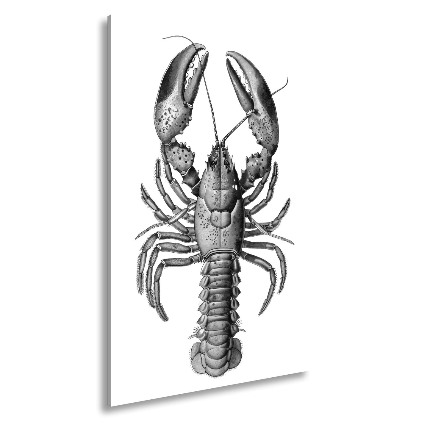 Leinwandbild Majestätischer blauer Hummer in feiner naturgetreuer Illustration - deyoli
