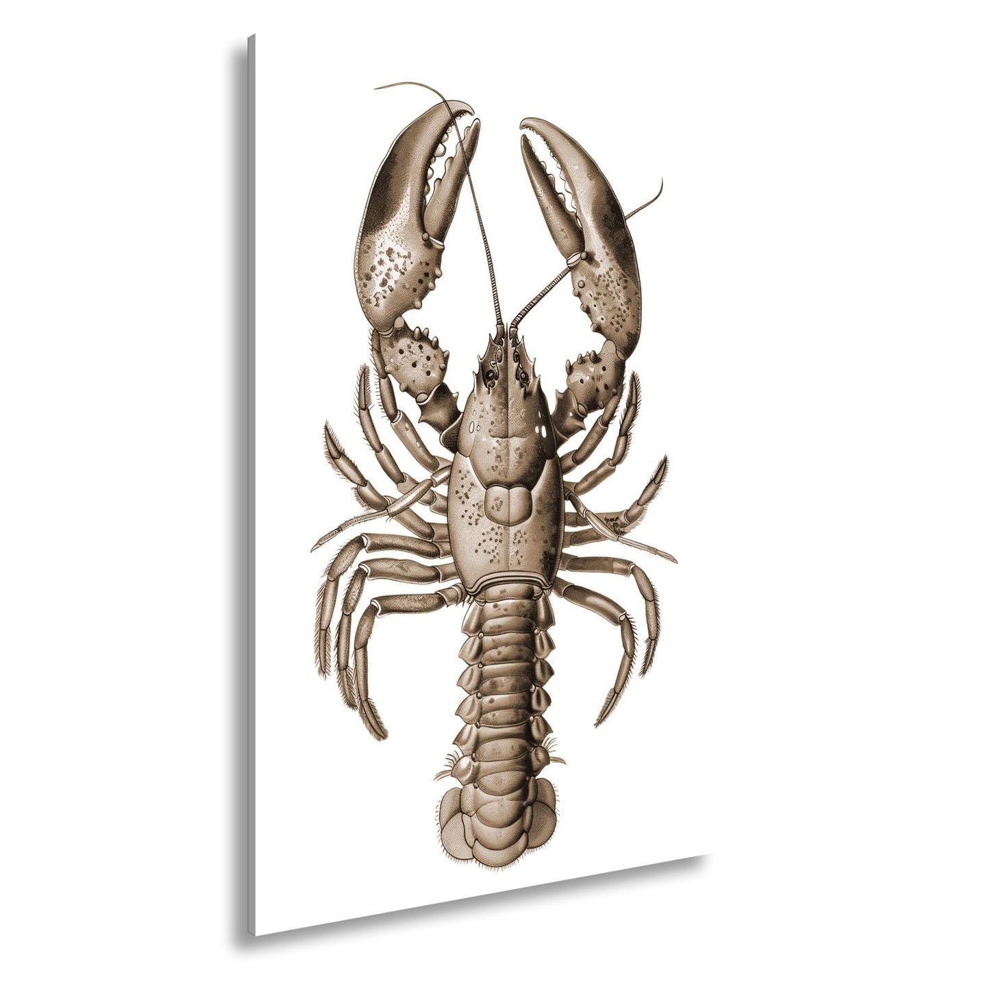 Leinwandbild Majestätischer blauer Hummer in feiner naturgetreuer Illustration - deyoli