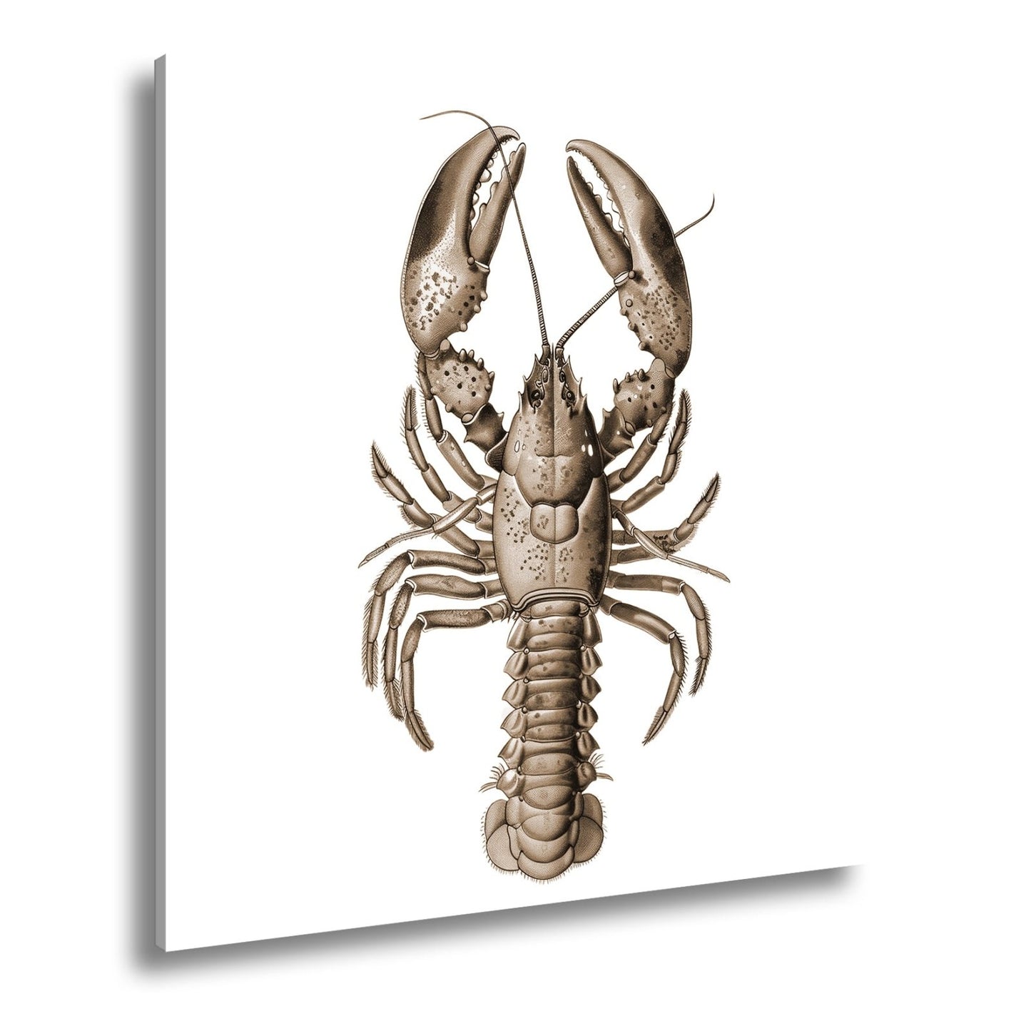 Leinwandbild Majestätischer blauer Hummer in feiner naturgetreuer Illustration - deyoli