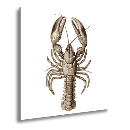 Leinwandbild Majestätischer blauer Hummer in feiner naturgetreuer Illustration - deyoli