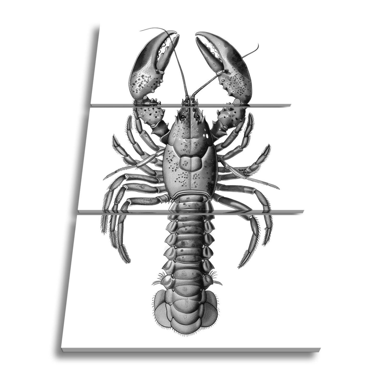 Leinwandbild Majestätischer blauer Hummer in feiner naturgetreuer Illustration - deyoli