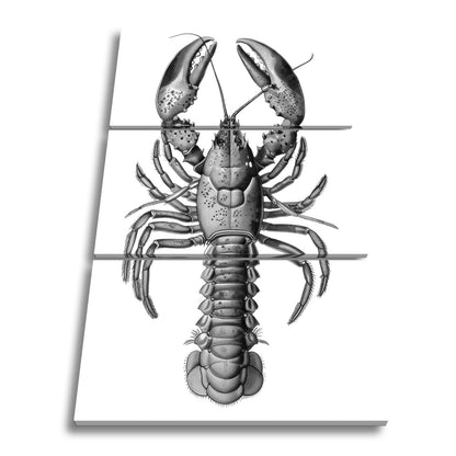 Leinwandbild Majestätischer blauer Hummer in feiner naturgetreuer Illustration - deyoli