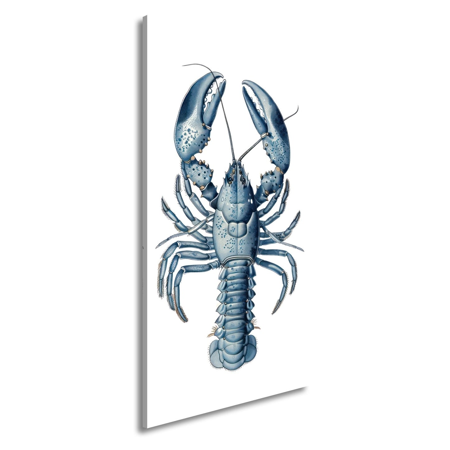 Leinwandbild Majestätischer blauer Hummer in feiner naturgetreuer Illustration - deyoli