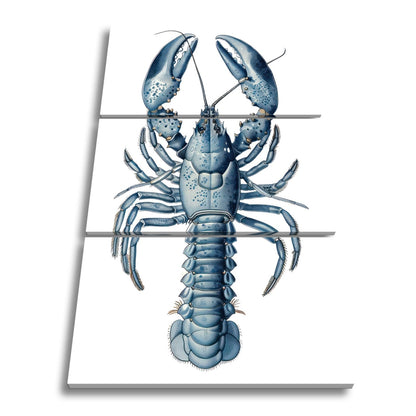 Leinwandbild Majestätischer blauer Hummer in feiner naturgetreuer Illustration - deyoli