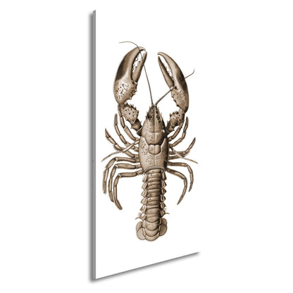Leinwandbild Majestätischer blauer Hummer in feiner naturgetreuer Illustration - deyoli