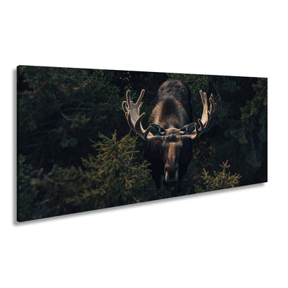 Leinwandbild Majestätischer Elch im Schatten des Waldes - deyoli