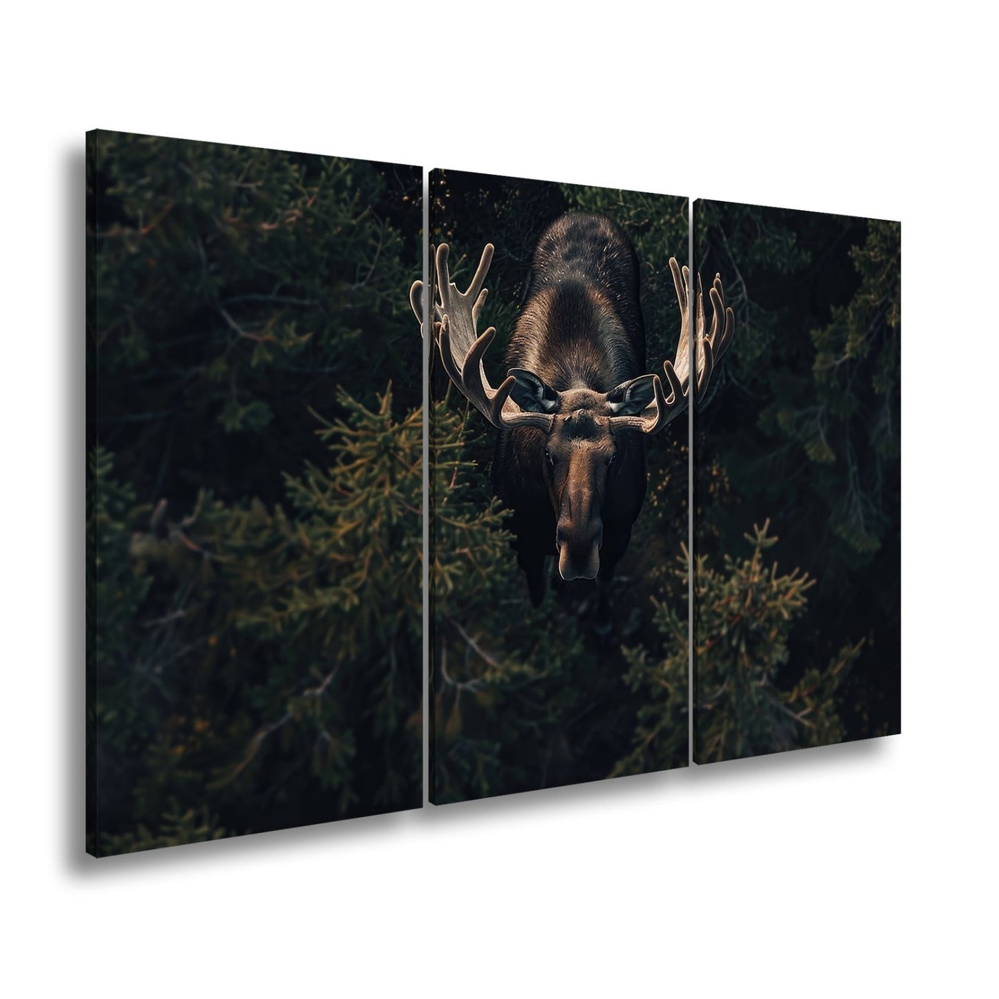 Leinwandbild Majestätischer Elch im Schatten des Waldes - deyoli