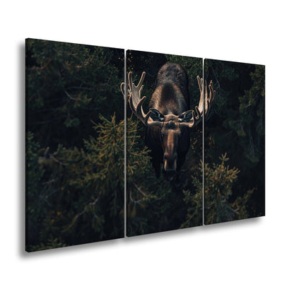 Leinwandbild Majestätischer Elch im Schatten des Waldes - deyoli