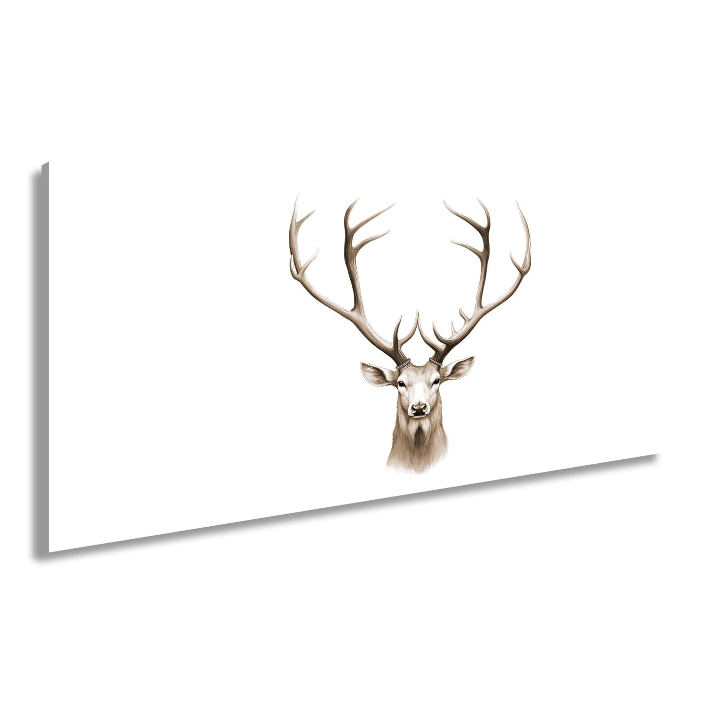 Leinwandbild Majestätischer Hirsch mit imposantem Geweih - deyoli