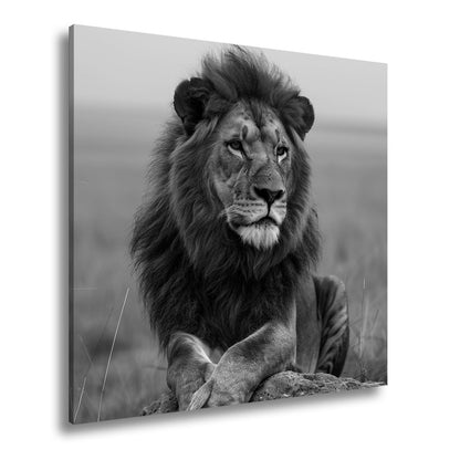 Leinwandbild Majestätischer Löwe ruht wachsam auf felsigem Thron. - deyoli