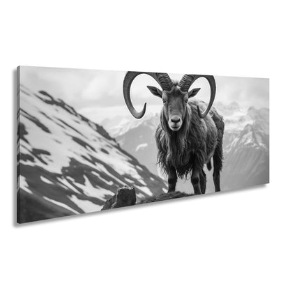 Leinwandbild Majestätischer Steinbock trotzt der kühlen Bergwelt. - deyoli