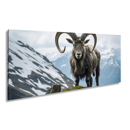 Leinwandbild Majestätischer Steinbock trotzt der kühlen Bergwelt. - deyoli