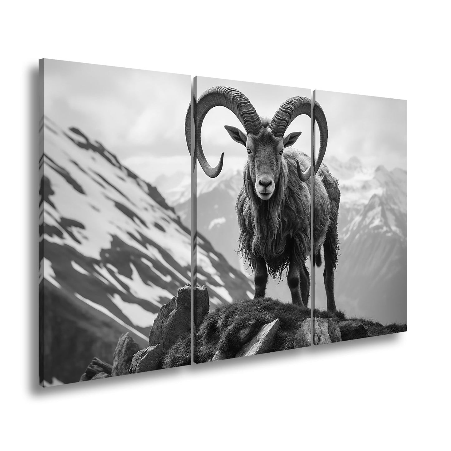 Leinwandbild Majestätischer Steinbock trotzt der kühlen Bergwelt. - deyoli