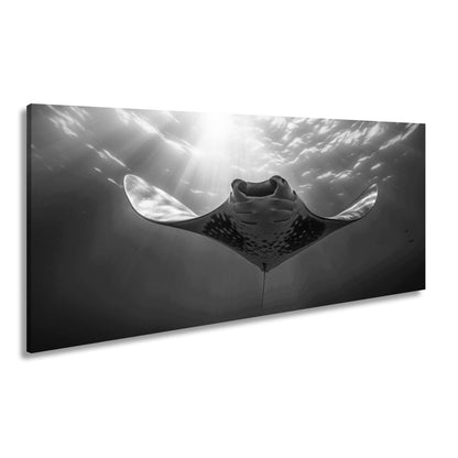 Leinwandbild Manta XXL – Majestätischer Gleiter durch Licht & Tiefe - deyoli