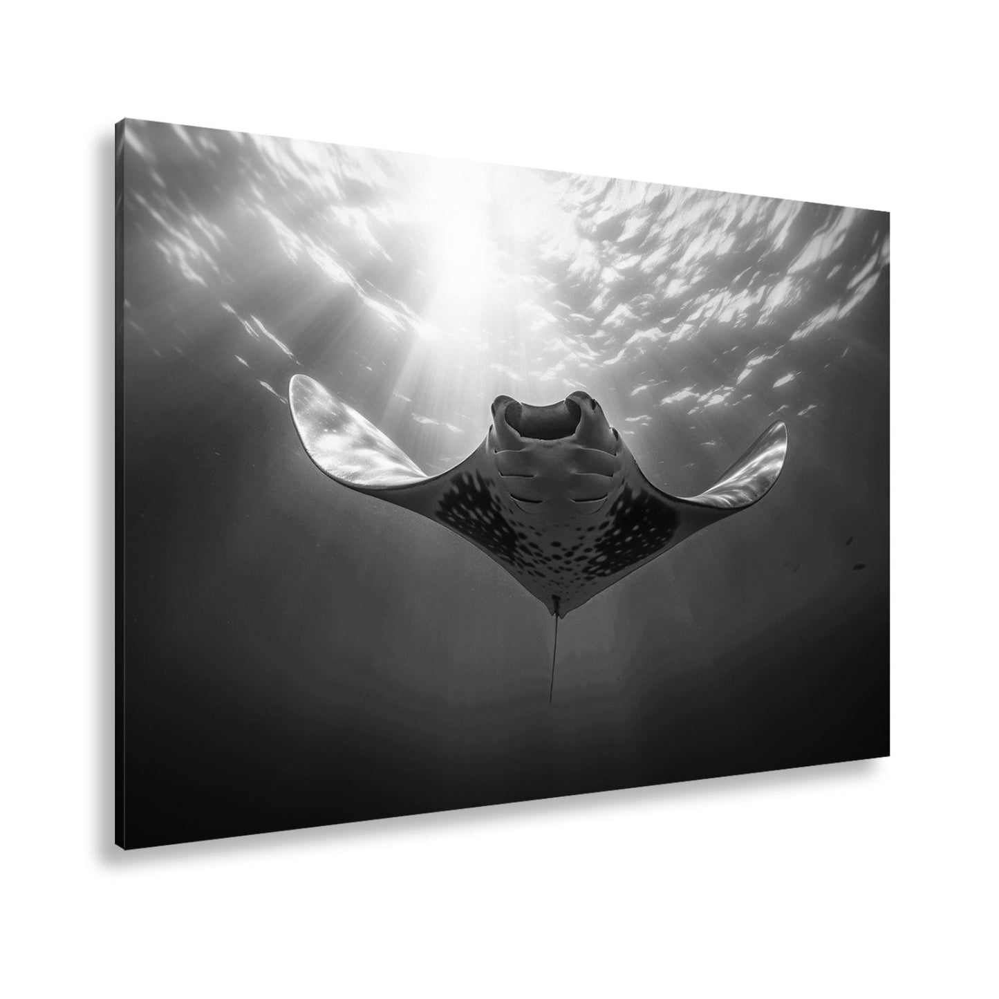 Leinwandbild Manta XXL – Majestätischer Gleiter durch Licht & Tiefe - deyoli