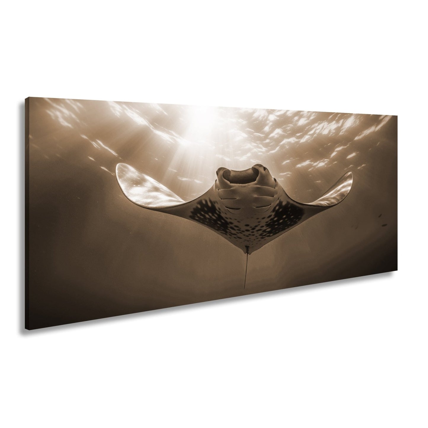 Leinwandbild Manta XXL – Majestätischer Gleiter durch Licht & Tiefe - deyoli