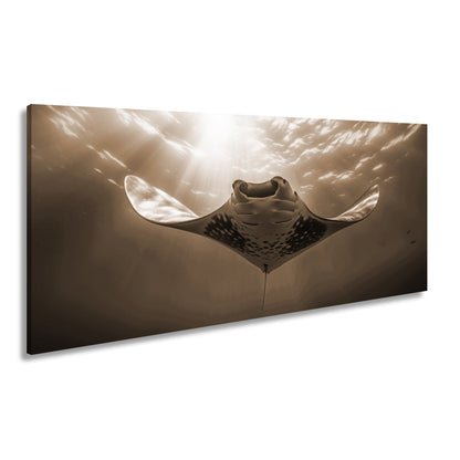 Leinwandbild Manta XXL – Majestätischer Gleiter durch Licht & Tiefe - deyoli