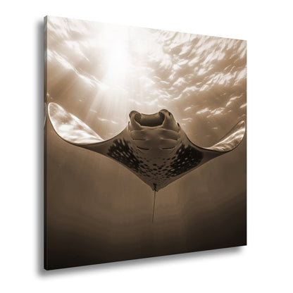 Leinwandbild Manta XXL – Majestätischer Gleiter durch Licht & Tiefe - deyoli