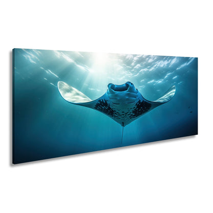 Leinwandbild Manta XXL – Majestätischer Gleiter durch Licht & Tiefe - deyoli