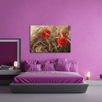 Leinwandbild Mohn im Kornfeld – rotes Leben im goldenen Meer. - deyoli
