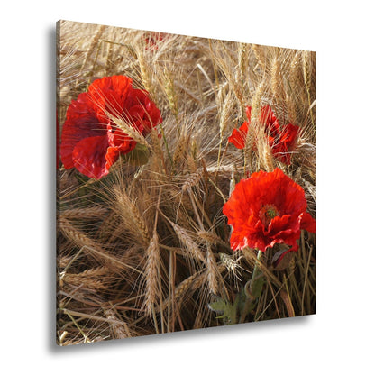 Leinwandbild Mohn im Kornfeld – rotes Leben im goldenen Meer. - deyoli