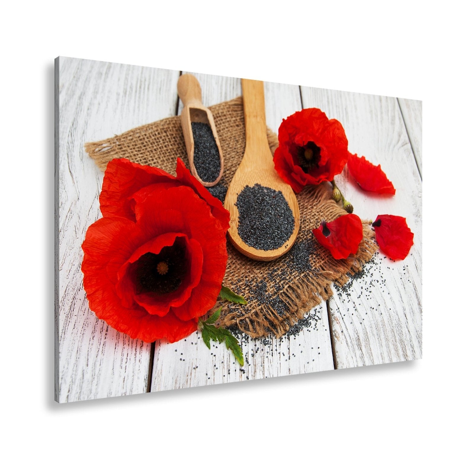 Leinwandbild Mohnblüten und Saat – rot wie Glut, schwarz wie Erde. - deyoli