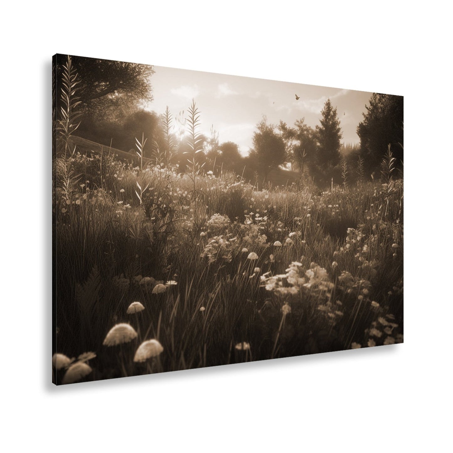 Leinwandbild Morgentanz der Wildblumen im goldenen Licht. - deyoli