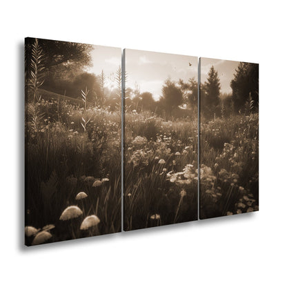 Leinwandbild Morgentanz der Wildblumen im goldenen Licht. - deyoli