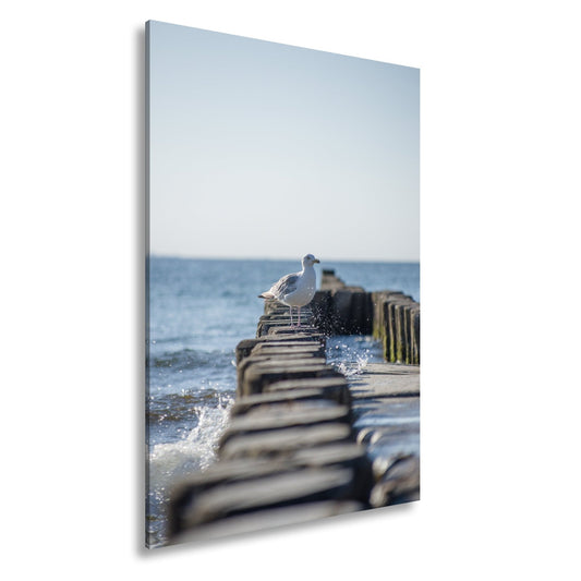 Leinwandbild Möwe trotzt Wellen auf alten Buhnen am ruhigen Meer. - deyoli