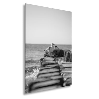 Leinwandbild Möwe trotzt Wellen auf alten Buhnen am ruhigen Meer. - deyoli